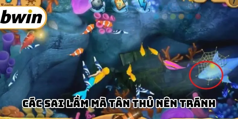 Sai lầm tân binh thường mắc phải